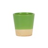Sass & Belle Green Dip Glaze Mini Planter