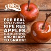 Seneca Caramel Apple Chips | Made from Fresh Apples |