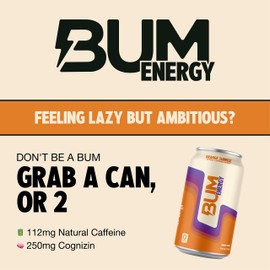 BUM Sugar-Free Energy Drink, Orange Sunrise - Lightly Carbonated & No Artificial Colors, Natural Caffeine & Citicoline for Energy & Focus, Brain Boost & Workout Sports Beverage - 12 oz, Pack of 12