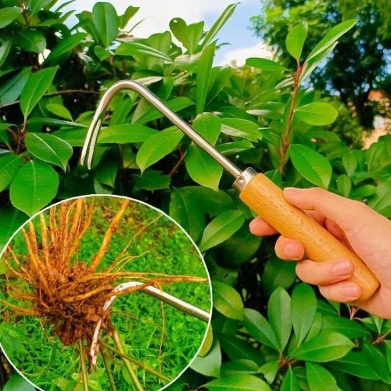 AIMALL Stainless Steel Weeder Tool with Wooden Handle, Lightweight Garden