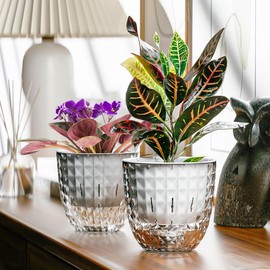 XKYQSY 2 Pack 4 inch Self Watering Plants Pots Planters for Indoor Plants, African Violets Pots with Drainage Holes and Tray, Modern Plastic Flower Nursery Pots for Succulents,Herbs,Cactus