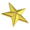 PinMart Military 3D 5 Point Gold Star Lapel Pin