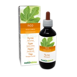 Fig (Ficus Carica) Alcohol-Free Bud Extract from Fresh Buds Naturalma Liquid Extract Drops 200 ml Dietary Supplement Vegan