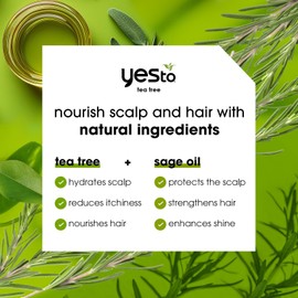 Yes To Tea Tree Scalp Relief Conditioner, Finishing Step To Calm Dry Itchy Scalp, Hydrates & Softens Hair With Long Lasting Moisture, With Tea Tree & Sage Oil, Natural, Cruelty Free, 12 Fl Oz 2PK