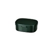 Tatsumiya 303452 Quick Washable Lunch Box, Medium, 20.1 fl oz