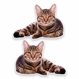 2 x 10cm Cat Vinyl Sticker Decal Laptop Tablet Fridge Window Animal Kitten #9639 (10cm Wide x 7cm High)