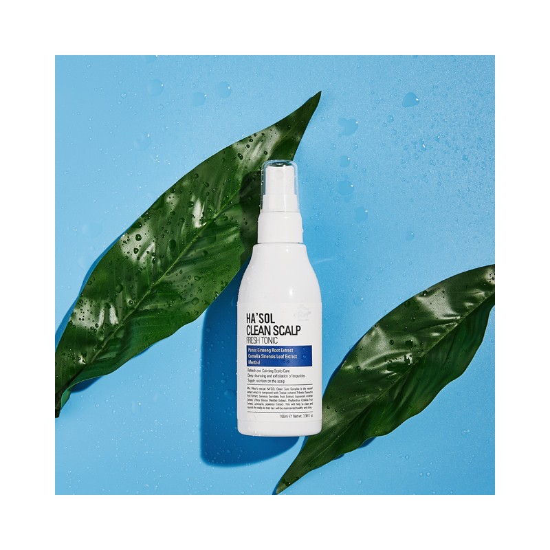 Hesol Oily Scalp Starter Haesol Clean Scalp Shampoo Clean Scalp