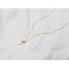 Collar de Flor Tulipan en Chapa de Oro de 22K