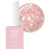 From the Nail Glitter Gel, FG290, 10g, 1 piece / 프롬더네일 글리터 젤, FG290, 10g, 1개