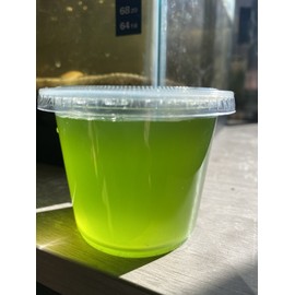 Green Water Culture, Matured Living Algae & Organisms, Nutritionally Dense 16oz