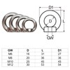 Priostahl® Ring Nut V4 A Stainless Steel Bolt Ring Bolts