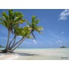 Monoi de Tahiti Mositurizer with DMAE: From the South Pacific