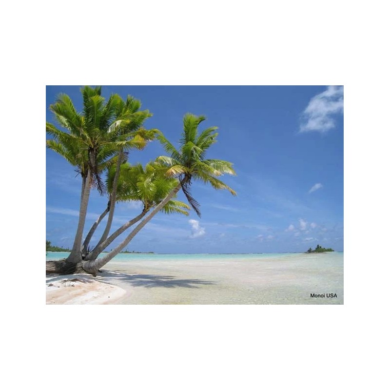 Monoi de Tahiti Mositurizer with DMAE: From the South Pacific