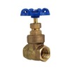 B K Mueller 1/2" NPT Gate Valve