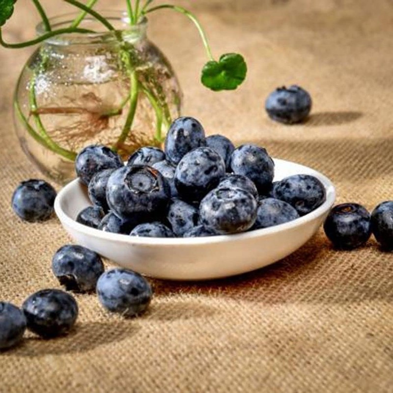 WsjiaboFux 20 Pcs Artificial Blueberries Plastic Fake Blue Berry Plants