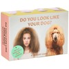 Do You Look Like Your Dog a Memory Game