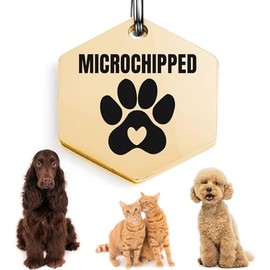 Universal Pet Tag Microchipped Pet Notation Fits All Collar Types Tag Chip Tag for Pets Dog Collar Gift Chip ID (Hexagonal_Gold)
