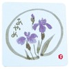 Daikoku Kogyo 3362315 "Commercial Use" Floral Paper Coasters Square Iris