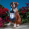 ATCS Realistic Boxer Puppy Dog Garden Sculpture Holding Solar LED