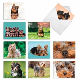 10 Terrific Yorkshire Terrier Cards - Boxed Assortment of Blank Note Cards with Envelopes (Small 4 x 5.12 Inch) - Cute Puppy, Dog Stationery Greeting Cards - Animal Notecard Gift Set AM6833OCB-B1x10