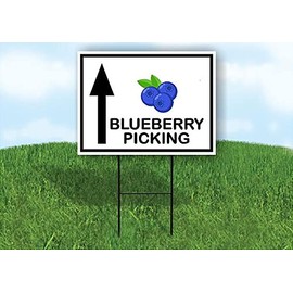 BLUEBERRY PICKING STRAIGHT ARROW BLACK - Single Sided Yard Sign ROAD SIGN with Stand