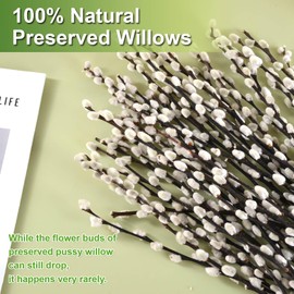 Oning 40 Stems Real Dried Pussywillow Preserved Greenery Branches for Vase-16'' Natural Pussywillows with White Flowers, Snow Willow Branches for Easter Wedding Home Party Hotel Fireplace Yard Decor
