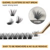 QUEWEL Individual Eyelashes, Individual Eyelash Clusters, Lashes, Mega C Curl,