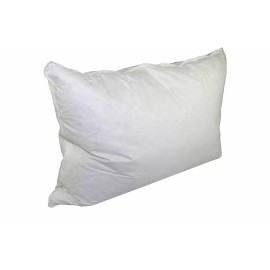 Envirosleep Dream Surrender Queen Pillow found at Hilton Hotels