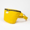 The Peacock Crew Spacious Yellow Gold Crossbody Belt Bag in