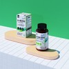 Welliz 웰리즈 보스웰리아정 1000mg x 60정 1개 2개월분 Wellness Boswellia