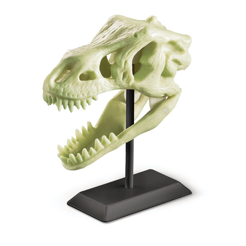 4M Glow Fossil Science Kit