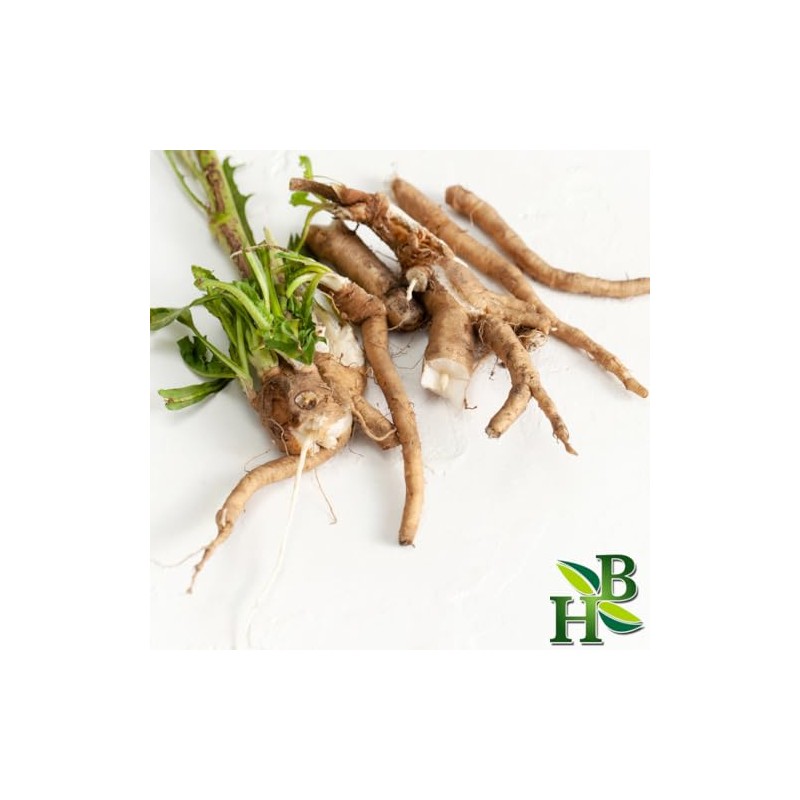 Herb To Body Chicory Root Roasted Granules | Cichorium Intybus