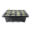 Happy Spring Hydroponic Cultivation Seedling Box, 12 Holes, Plastic Set