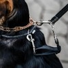 Herm. Sprenger Prong Collar Safety Clip with Reflective Stripes 6"-8"