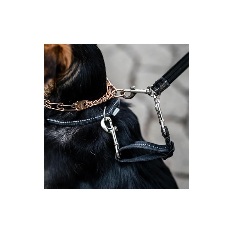 Herm. Sprenger Prong Collar Safety Clip with Reflective Stripes 6"-8"