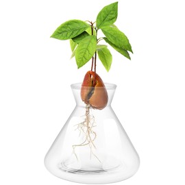 1 PCS Avocado Seed Starter Vases, Pit Planter Pot Avocado Tree Growing Kit Acorn Bulb Vase Grow Glass Blue Hydroponics Container for Gardening Lover