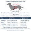 DJANGO Fully Lined Hoodie for Dog - Soft, Stretchy, and