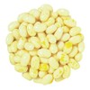 Bayside Candy Jelly Bean Collection All Flavors Jelly Beans (5LB,
