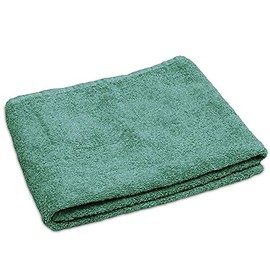 Lanudo Luxury Hand Towel 600 g/m² Pure Line 50 x 100 cm with Border 100% Finest Terry Cotton in Highest Quality Colour: Mint Green