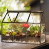 D'Eco Glass Greenhouse Terrarium (10x4.5x9) - Tabletop Black Hinged Geometric