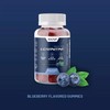 Sugar Free Natural Energy L Carnitine Gummy - Pre Workout,