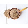 Wheat Berries, 3 Pounds — Non-GMO Verified, Sprouting for Wheatgrass,