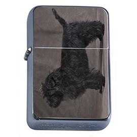 Dog Affenpinscher 02 Oil Lighter