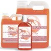 Tack Shack of Ocala Healthy Hair Care Hair Moisturizer, Horse