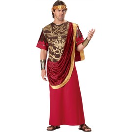 InCharacter Costumes, LLC Julius Caesar Robe, Red/Gold/Burgundy, Medium