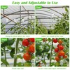 24+240P Tomato Roller Hooks with 50FT Twines and Tomato Trellis