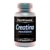 Suplemento Creatina Monohidrato 100% (80 Cáps) Prowinner Sabor Natural