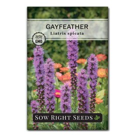 Sow Right Seeds - Gayfeather Liatris Spicata Flower Seed for Planting - Beautiful Flowers to Plant in Your Garden - Non-GMO Heirloom Seeds - Blooms Attract Bees and Butterflies - Great Gift (1)