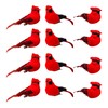 Berfutall-Cardinal Clip On Christmas Tree Ornament Decorations - Red Feathers