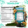 Clean Nutra SeaGlow Skin Glow Gummies – Sea Moss, Black